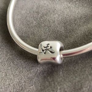 Authentic Retired Sterling Pandora Eternity Charm